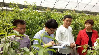 我縣順利完成省農業廳第二次農產品例行監測抽樣工作